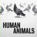 Toronto: ARC presents the North American premiere of “Human Animals” February 22-March 16